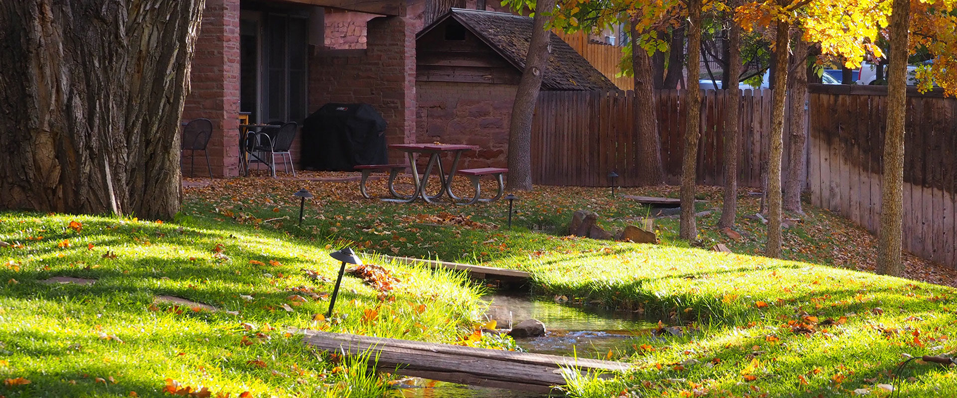 Lush green trees and leaves surround a shallow pond during the summertime at the Moab Springs Ranch property in Utah.