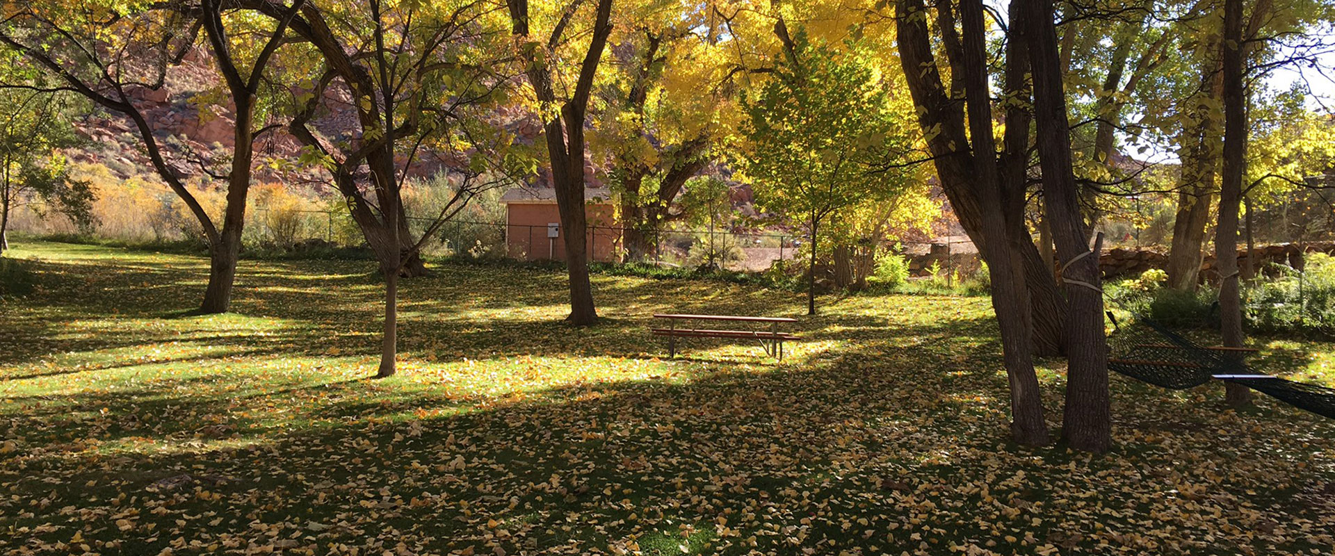 The National Historic Register House on the Moab Springs Ranch property is a two storey brick building surrounded by towering vibrant cottonwood trees.