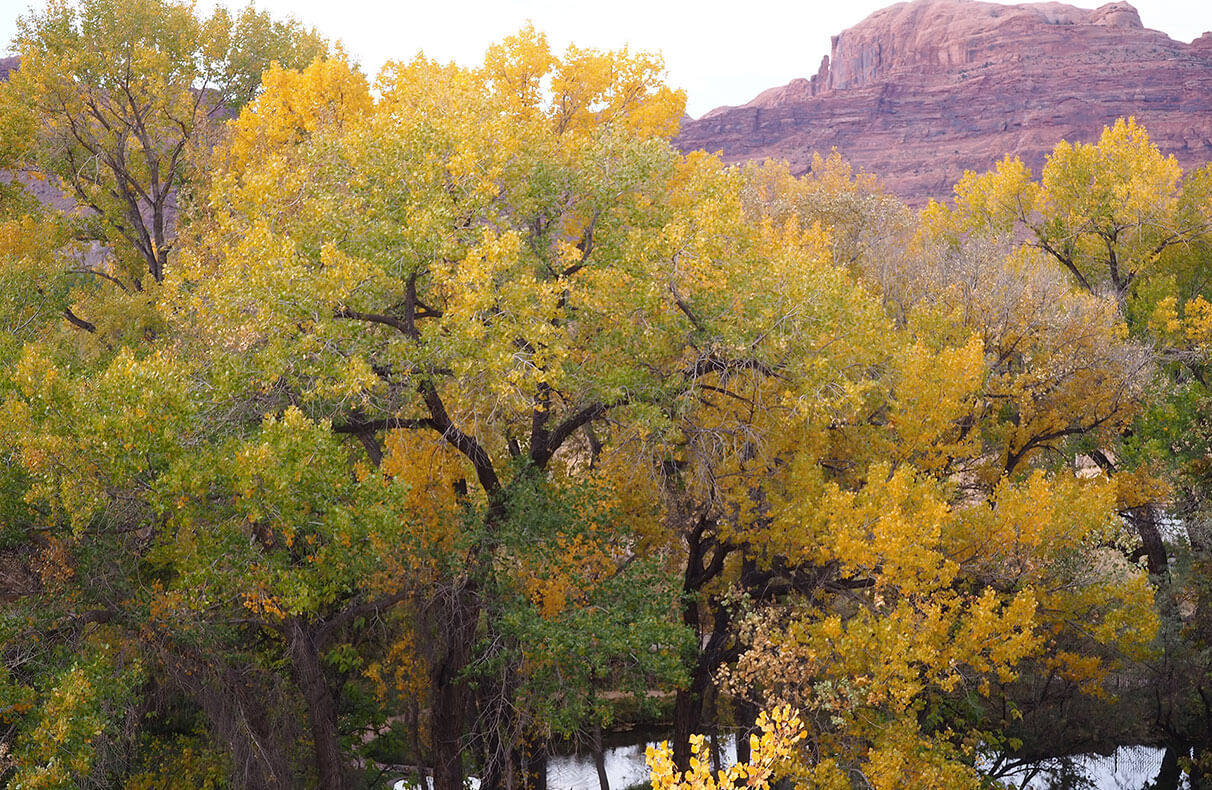 The public park space at Moab Springs Ranch provides guests with a shallow wading pool, hammocks, picnic table, and a cooking area with a barbecue grill, chairs and table.